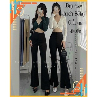 Quần nữ ống loe siêu hot