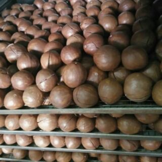 Mắc-ca tách vỏ sẵn Lâm Đồng