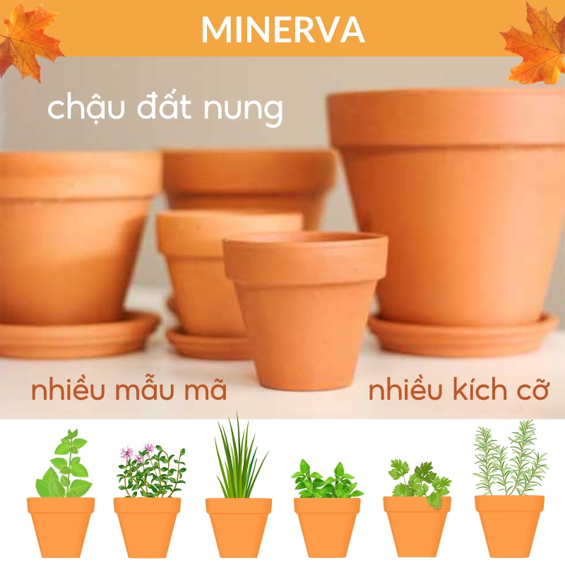 [THỦ CÔNG] Chậu đất nung trồng cây màu trắng , màu nâu nhiều kích cỡ, mẫu mã