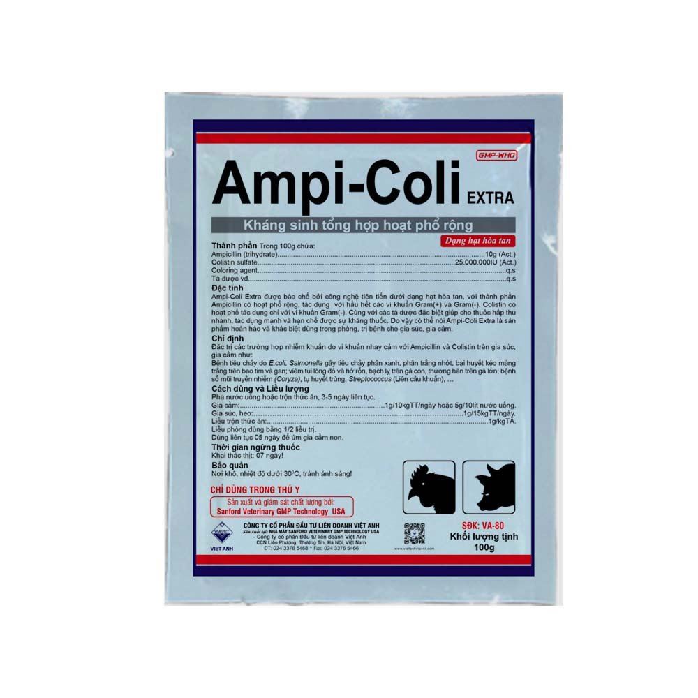 Ampicoli dexa hàm lượng cao tiêu chảy phân xanh phân trắng, bại huyết trên gan và bao tim