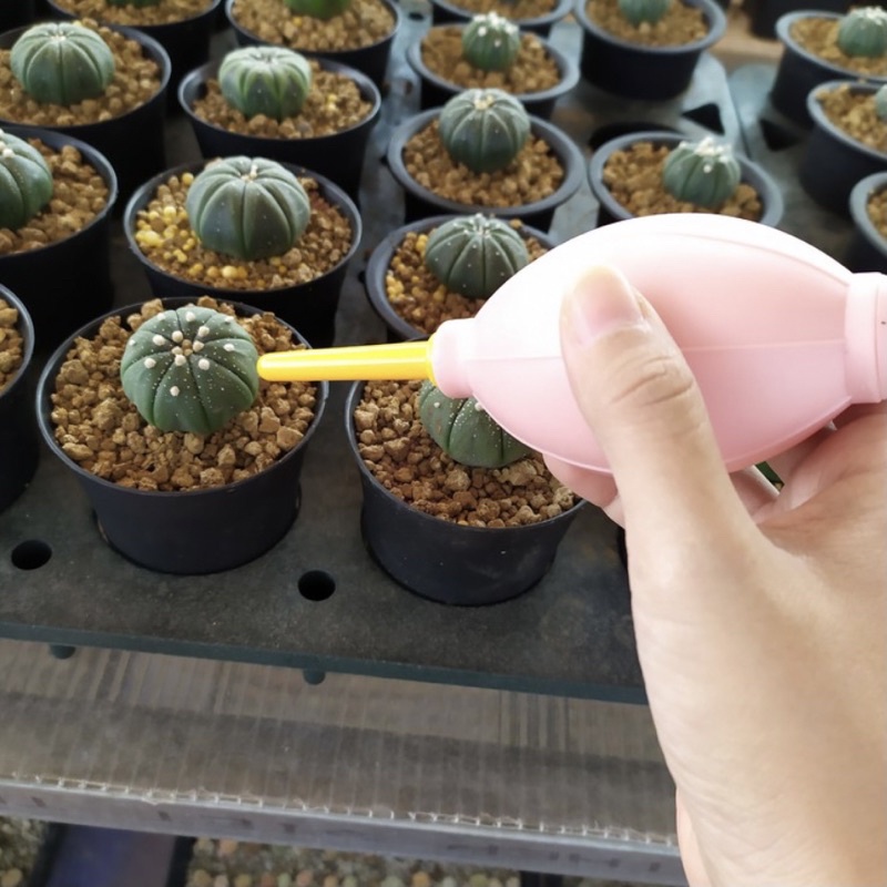 Bóng thổi bụi, nước bằng cao su, hàng cao cấp cầm chắc tay, thổi mạnh - LỖI 1 ĐỔI 1