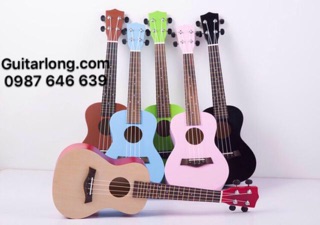 Đàn Ukulele Concert kèm bao đựng