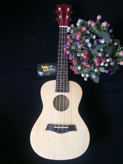 Đàn ukulele Concert