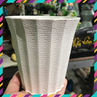 Combo 5 chậu nhựa khía tròn size 22cm×18cm×15cm.