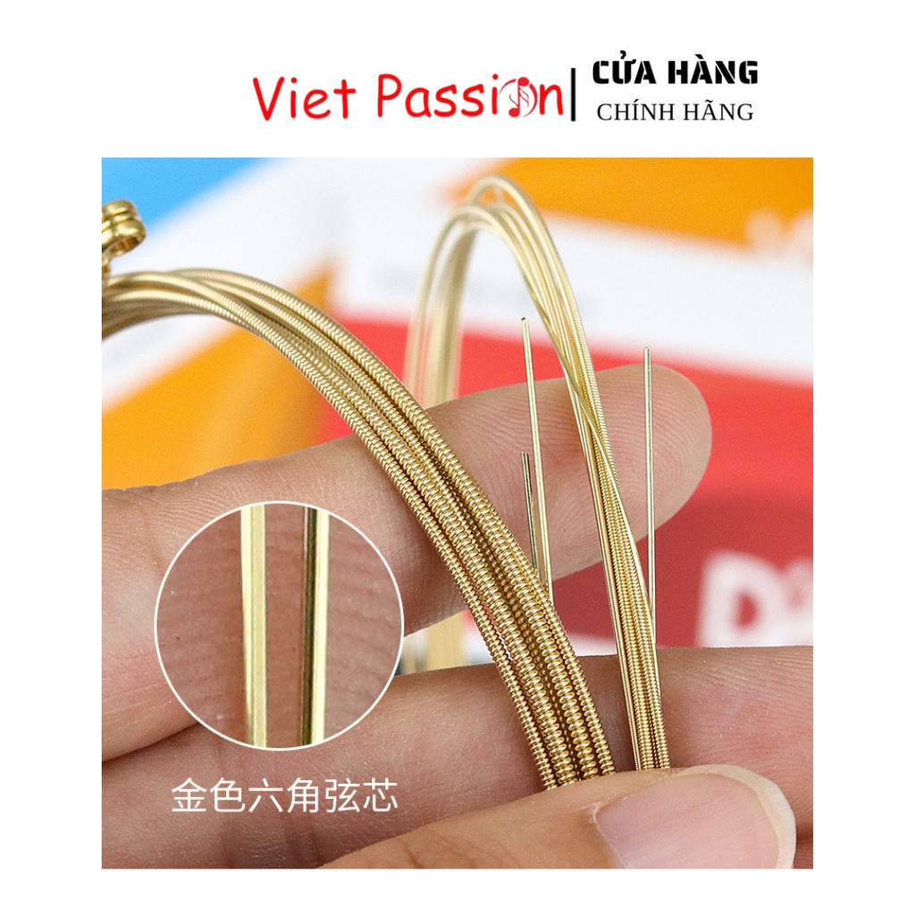 Dây đàn guitar acoustic D'addario Chính Hãng EXP26 EZ910 EJ13 EZ900 EZ920 dây sắt Viet Passion