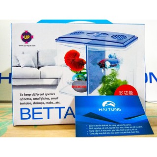 Bể nuôi cá chọi Betta box