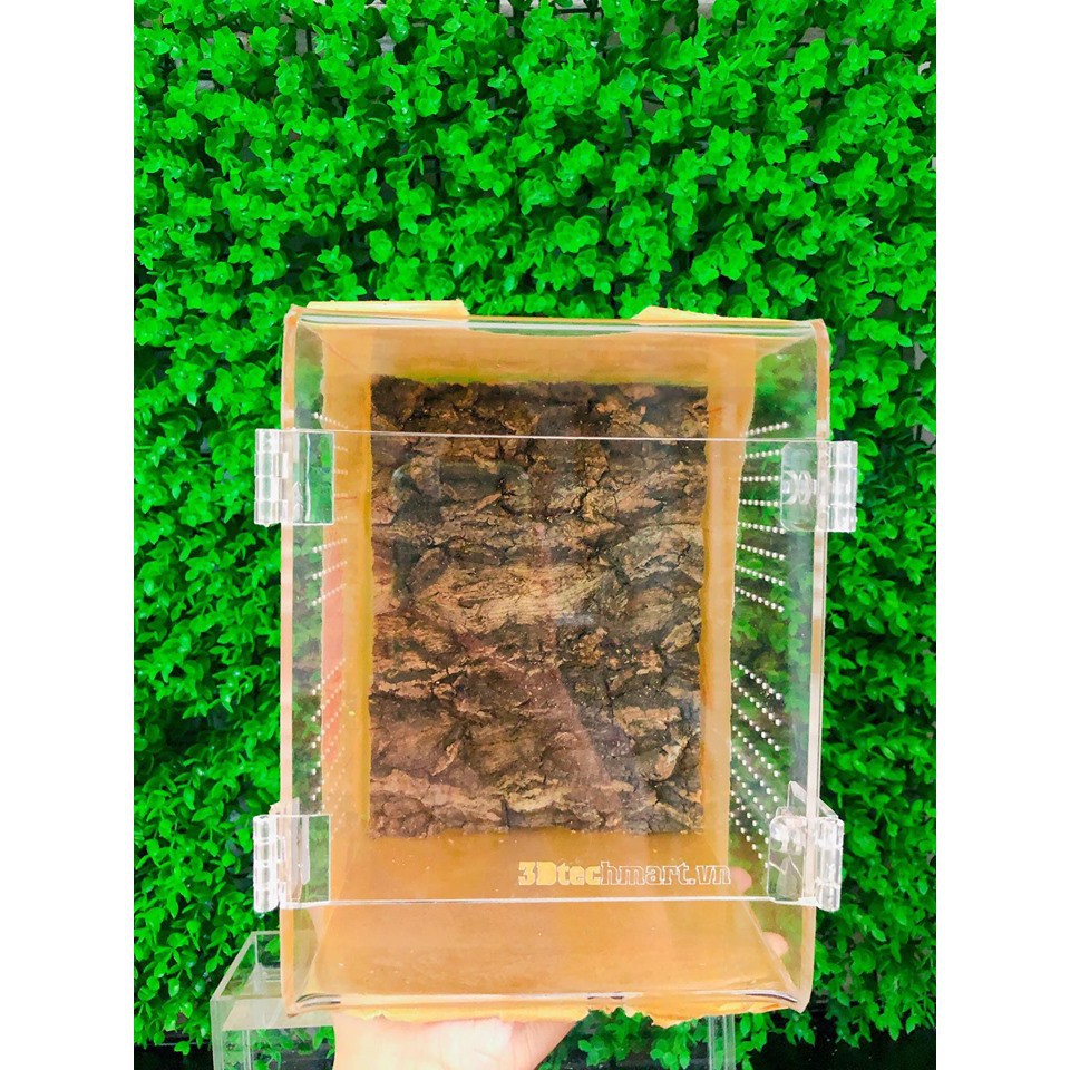Hộp nuôi nhện cây, bọ ngựa kt 15-15-20cm (hộp mica, tank acrylic)