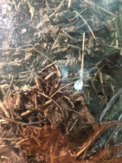 Trà Nhân trần