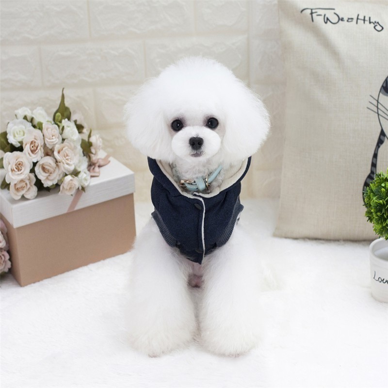 Áo khoác cotton có mũ dễ thương cho thú cưng