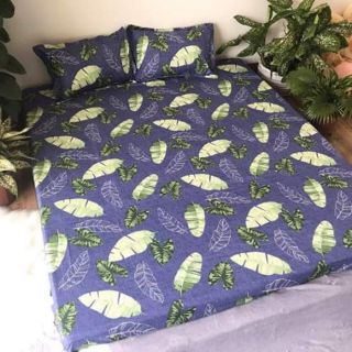 SÉT GA GỐI POLY COTTON XUẤT HÀN