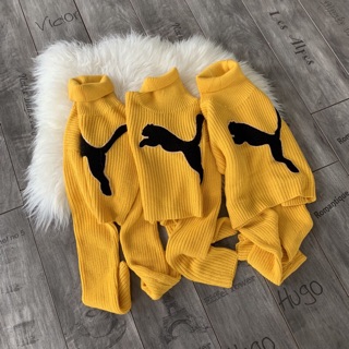 ÁO LEN PUMA