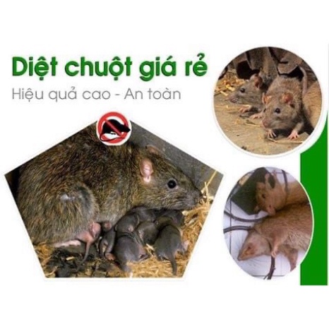 Xịt đuổi chuột, côn trùng thảo dược Run Away  300ml