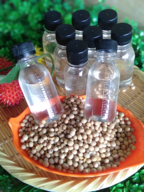 CHAI HƯƠNG ĐỂ NẤU SỮA ĐẬU NÀNH CHUẨN VỊ