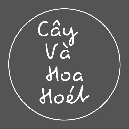 Cây và hoa hoét