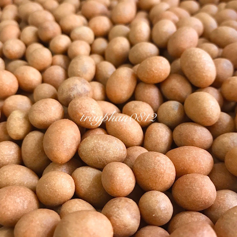 [Mã 77FMCGSALE1 giảm 10% đơn 250K] Đậu phộng da cá cốt dừa (500g)