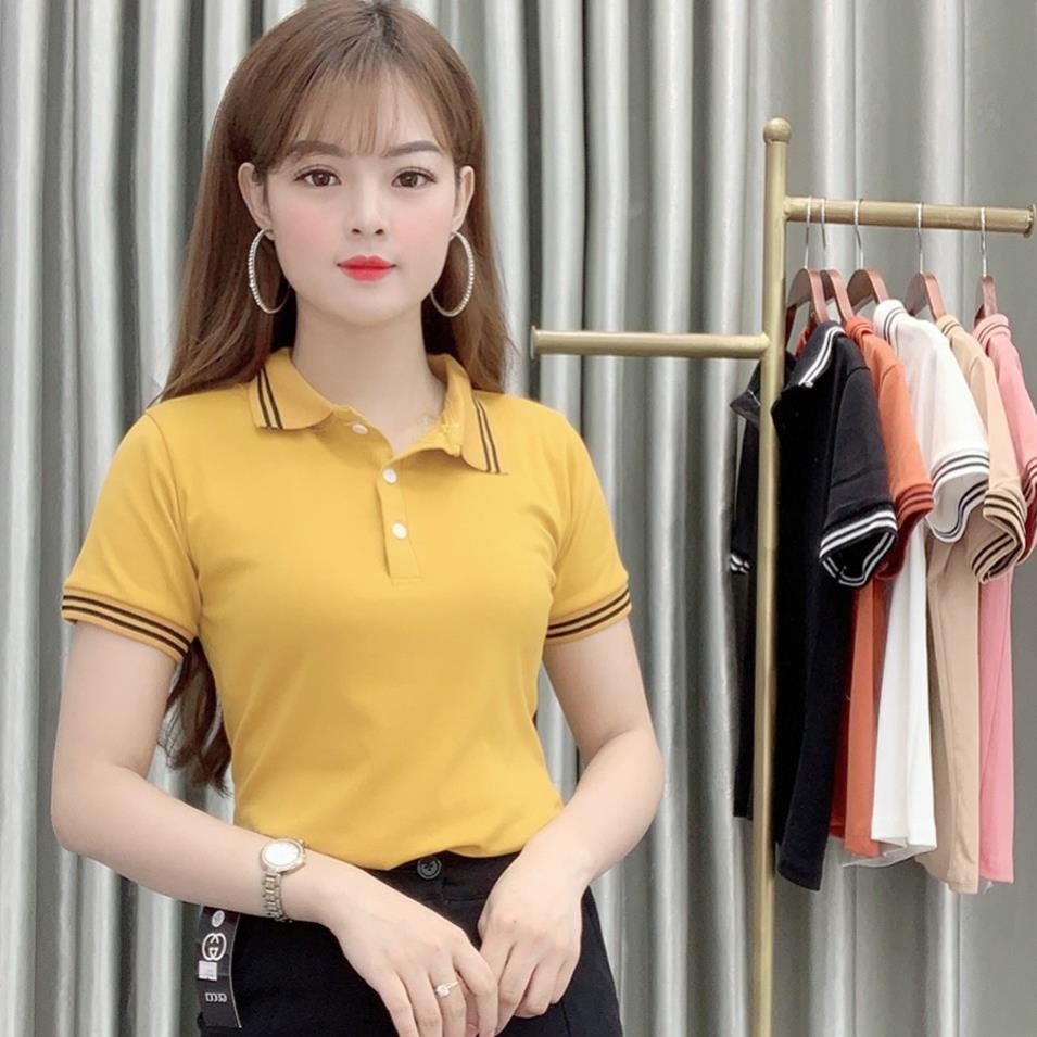 Áo Thun Polo Nữ Trơn Basic Tay Ngắn Cổ Bẻ Cotton Trẻ trung | BigBuy360 - bigbuy360.vn