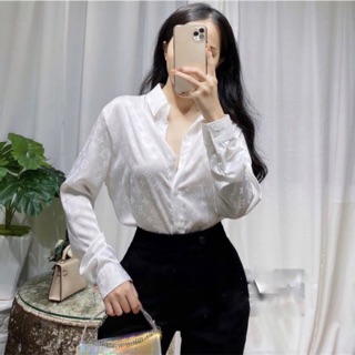 Áo Sơ Mi Lụa Nữ Vân Chìm Chuẩn Xịn [ Cao Cấp ]