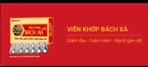 ✅Viên khớp Bách Xà - giảm đau, mạnh gân cốt