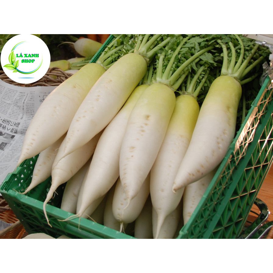 Hạt giống Củ Cải Trắng Dễ Trồng Củ To Dài, Sinh Trưởng Khỏe (gói 20 gram) - Hạt giống Rạng Đông