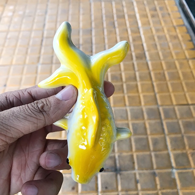 CÁ CHÉP TRANG TRÍ HỒ CÁ NON BỘ DÀI 14CM