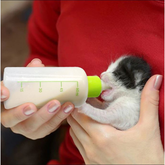 [Chăm Sóc Thú Cưng] Bình Sữa Cho PET Loại Bé 60ml - Bình Sữa Dành Cho Chó Mèo - Vật Dụng Cho Thú Cưng