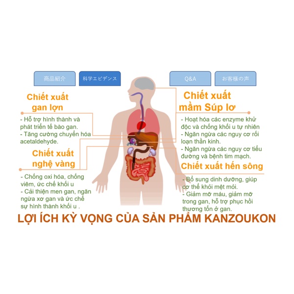 VIÊN UỐNG BỔ GAN KANZOU UKON GENKI FAMI