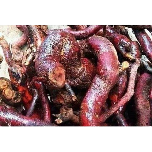 Cây mú từn khô (Đặc sản Tây Bắc)