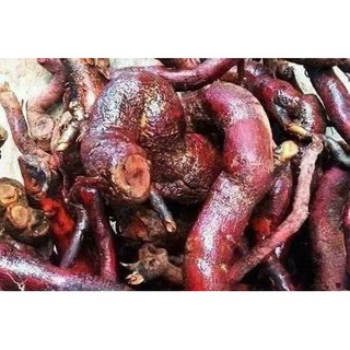 Cây mú từn khô (Đặc sản Tây Bắc)