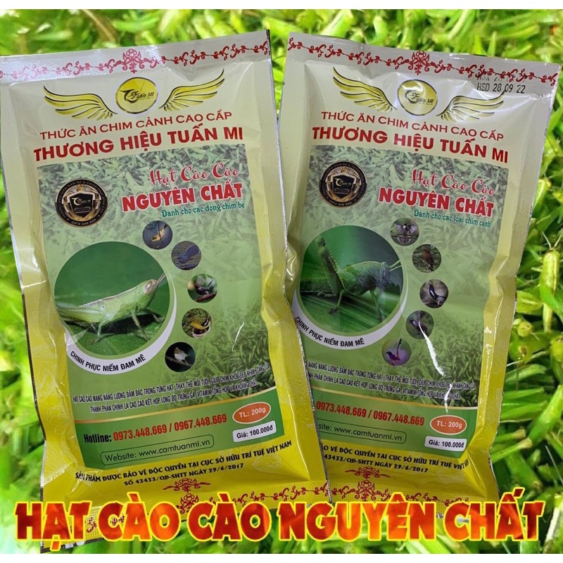 HẠT CÀO CÀO dành cho các loại chim bé: khuyên, rẻ quạt , sơn ca, tiểu mi,… (200g
