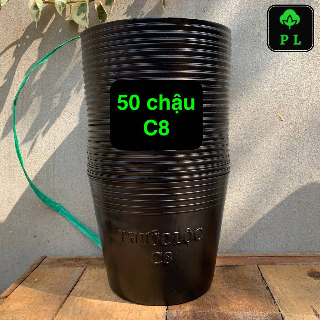 Combo 50 chậu C8 (18x15 cm) hiệu Phước Lộc loại dày nhất