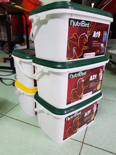 Bột cho vẹt a21 50k/ 100gr