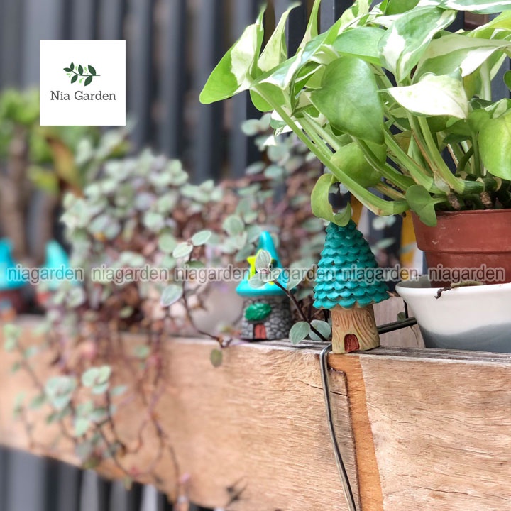 Mô hình trang trí nhà cây tiểu cảnh mini decor chậu cây vườn terrarium hồ cá Nia Garden N5