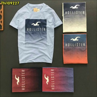 áo thun Hollister