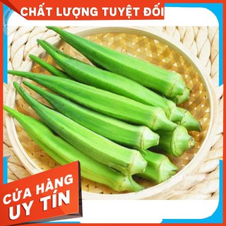 10g Hạt Giống Đậu Bắp Xanh (Abelmoschus esculentus)