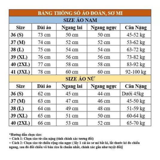 ÁO PHÔNG CÁ SẤU ĐOÀN THANH NIÊN  NỮ -LOẠI 1 DÀY DẶN