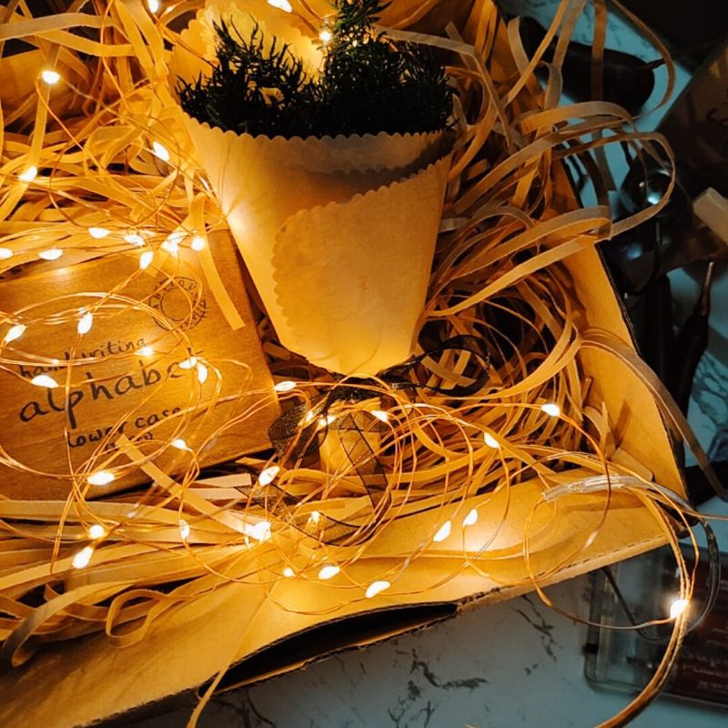Dây đèn led đom đóm trang trí decor