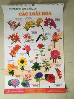 Combo tranh treo tường cho bé