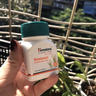 Shatavari Himalaya nội t iết tố, đẹp da 60v