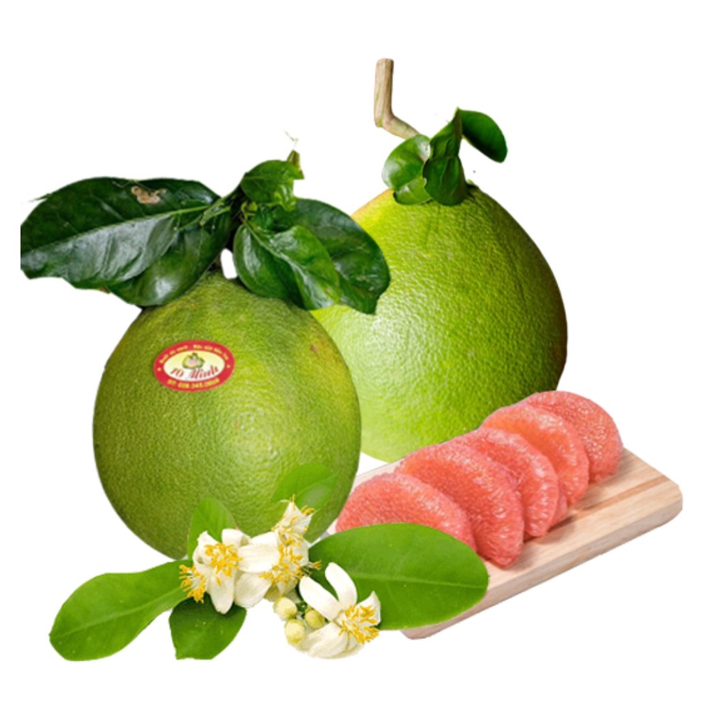 Bưởi da xanh Bến Tre - Thương hiệu Mười Minh (CHỈ GIAO HÀNG TRONG TP VŨNG TÀU - 0326058540)