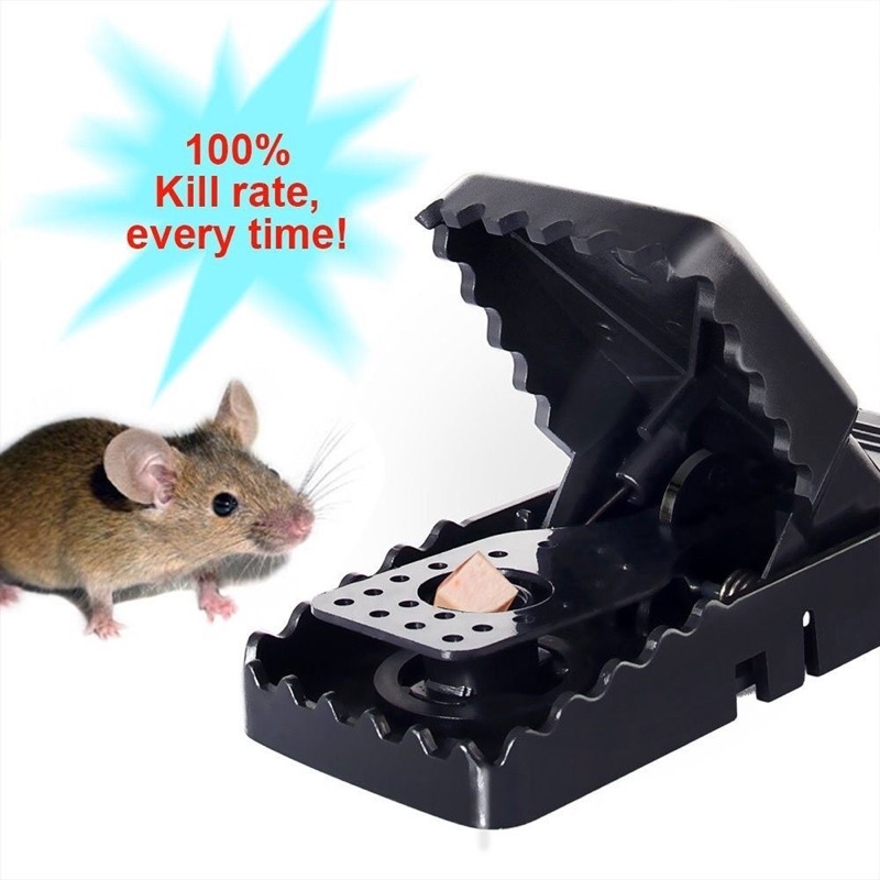 Bẫy chuột đen thông minh , kẹp chuột hiệu quả