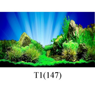 Tranh dán hồ cá 3d , hồ cá rồng , la hán , cá dĩa …