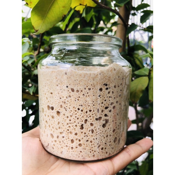 Con giống men tự nhiên làm bánh Sourdough Bread_ TẶNG CÔNG THỨC BÁNH_ Bột mì Mezan số13