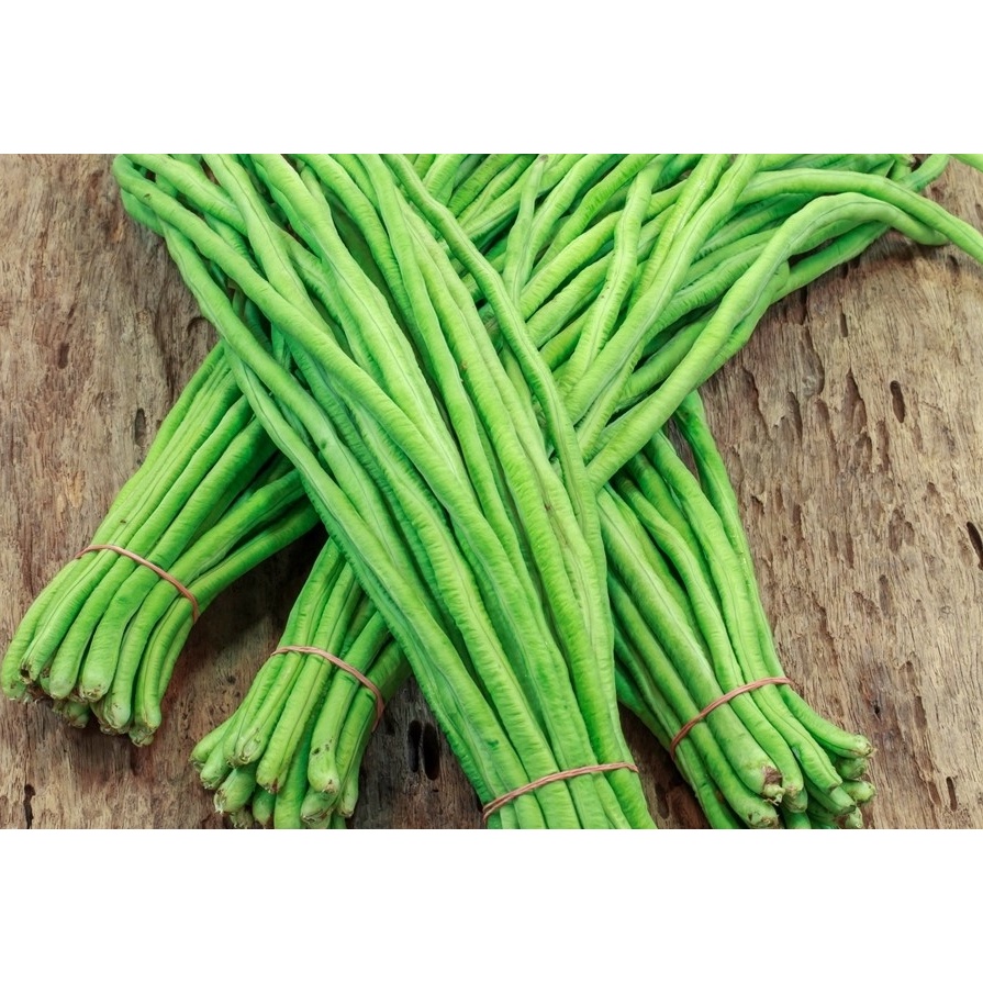 Hạt Giống Đậu Đũa Đài Loan