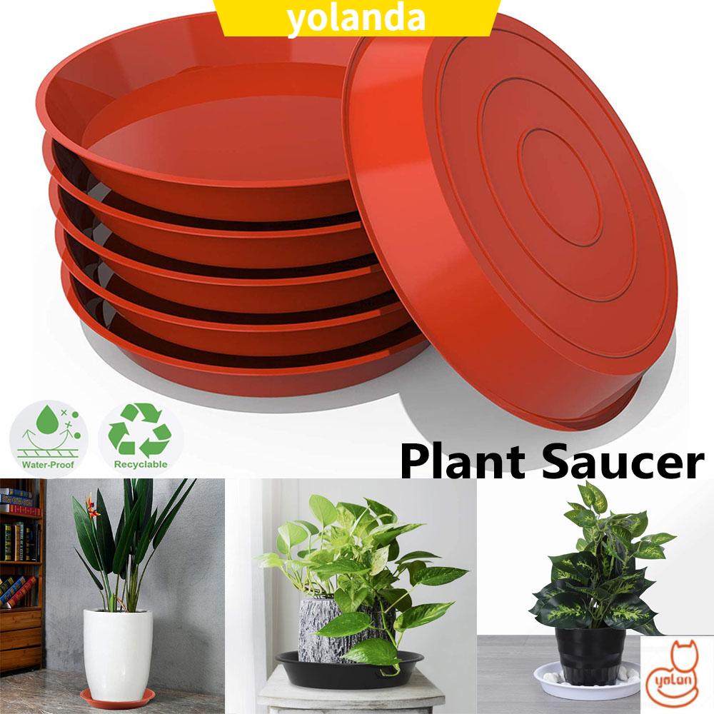 Set 3 khay nhựa lót chậu cây trồng gọn gàng tiện dụng