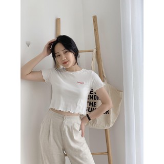 Áo phông chữ ap383 1994closet