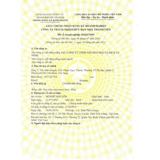 Body Trứng Vàng Chính Hãng