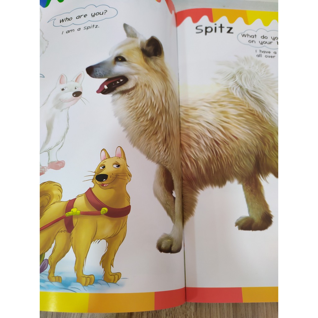 Sách - My First Questions &amp; Answers - Dogs - 8935072923181