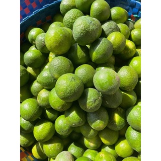 [HCM - Q1] Chanh tươi Đà Lạt 1kg