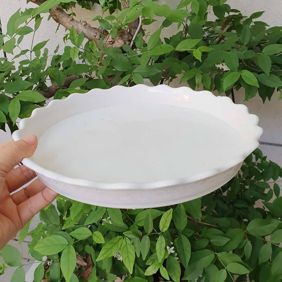 Bộ 5 đĩa lót chậu hoa màu trắng đường kính 26cm