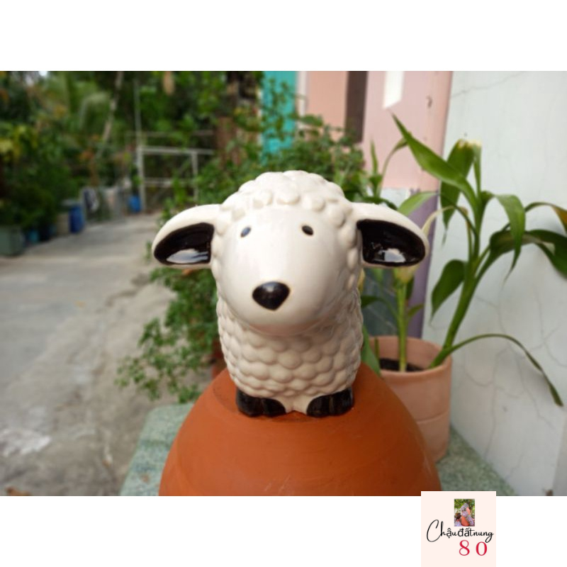 Chậu đất nung - chậu cừu tráng men trắng